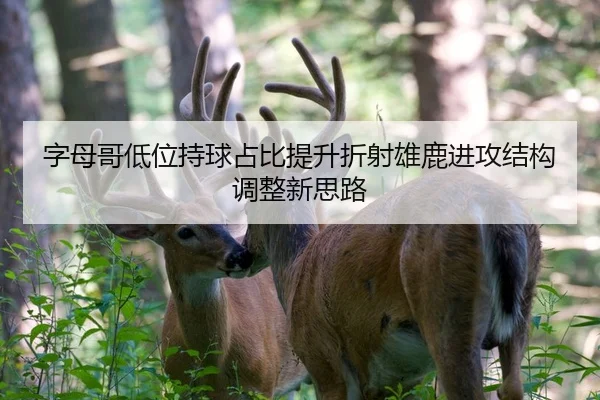 字母哥低位持球占比提升折射雄鹿进攻结构调整新思路